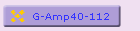 G-Amp40-112