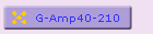 G-Amp40-210